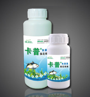 酶解魚(yú)蛋白葉面型—?；ū９? /><div   id=