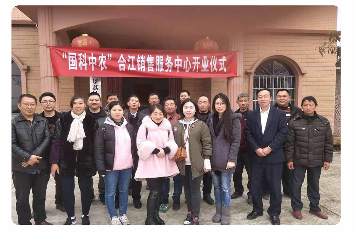 網(wǎng)站上的圖片調整112233