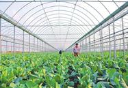2019年12月行業(yè)信息